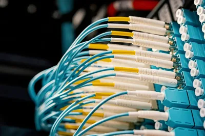 Patch cables plugged into a network patch panel